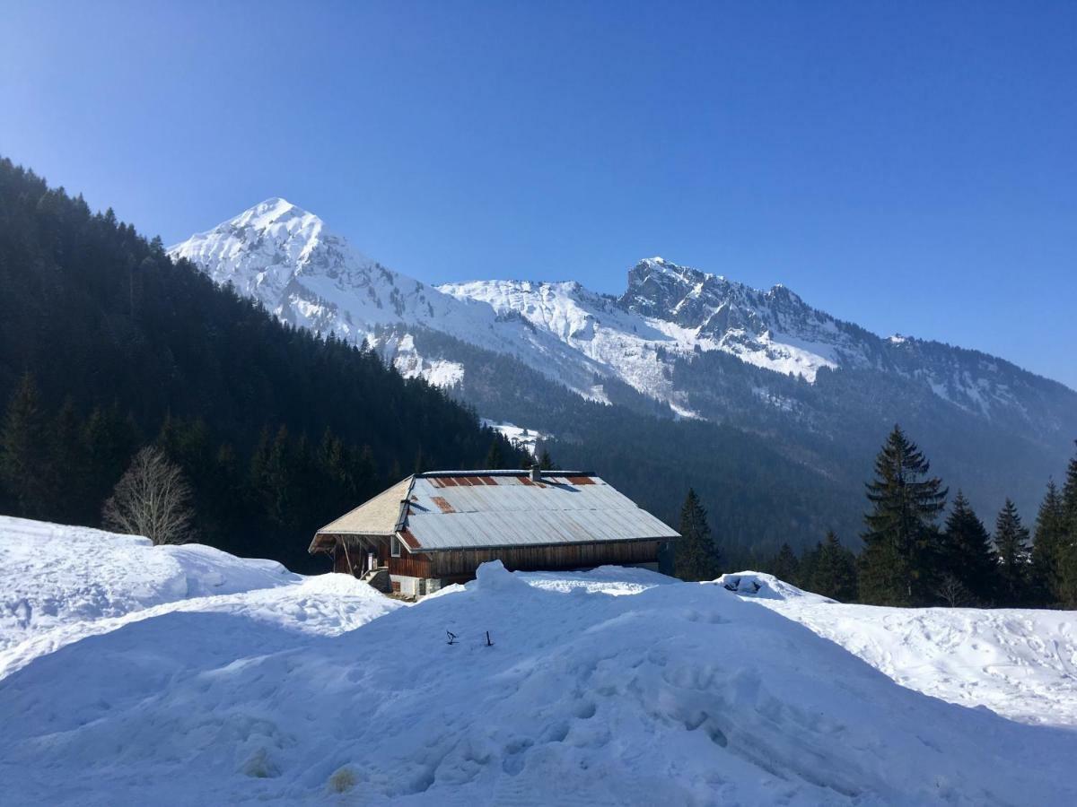 Chalet Marmotte 2 Morzine Zewnętrze zdjęcie
