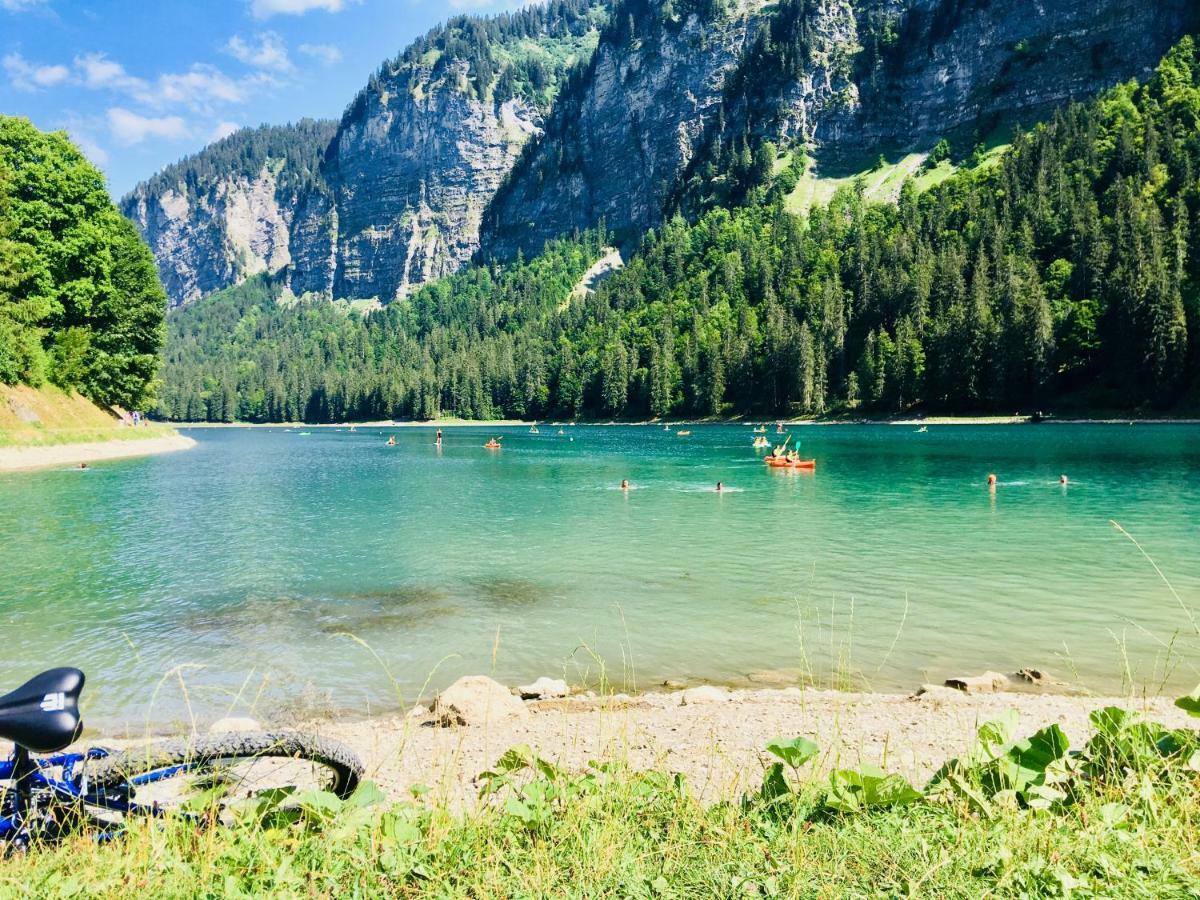 Chalet Marmotte 2 Morzine Zewnętrze zdjęcie