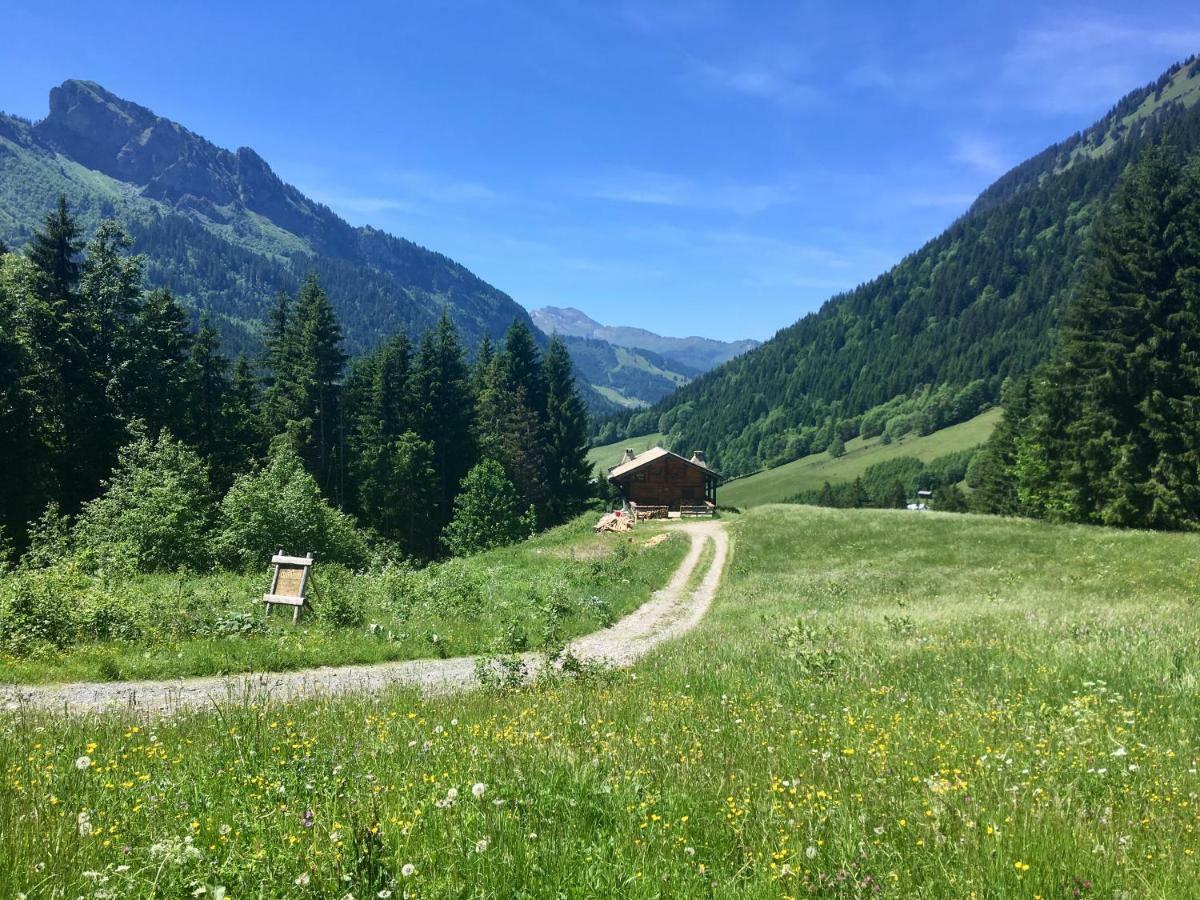 Chalet Marmotte 2 Morzine Zewnętrze zdjęcie