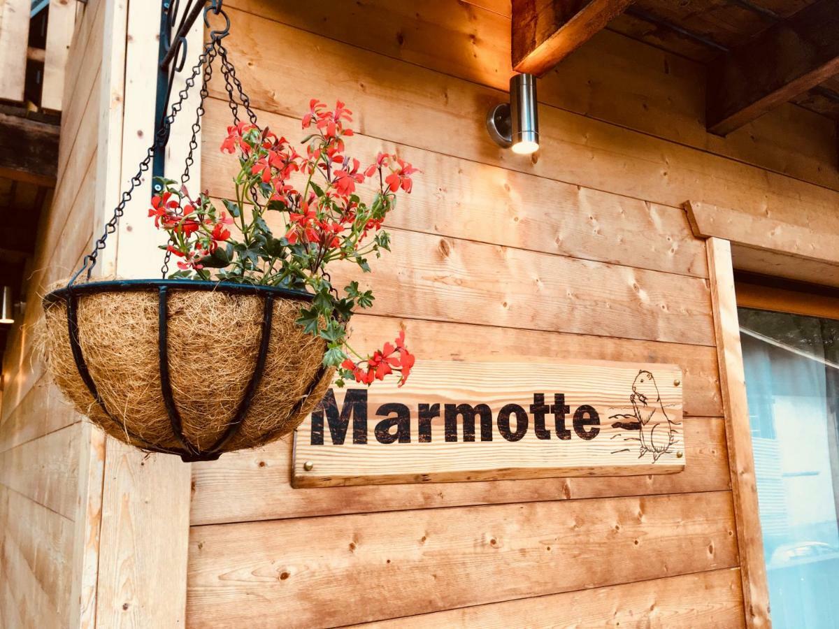 Chalet Marmotte 2 Morzine Zewnętrze zdjęcie